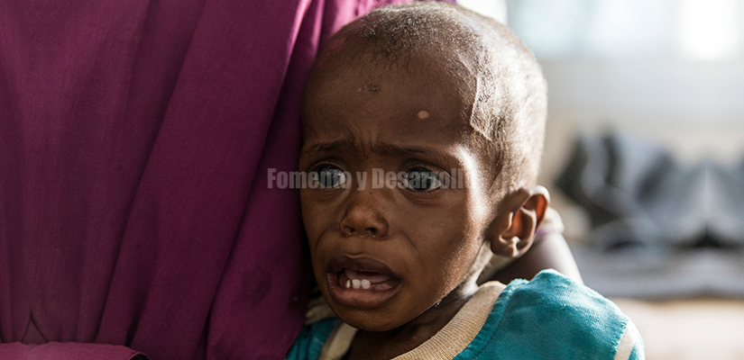 ¡¡¡ 2018 POR TERCER AÑO CONSECUTIVO SE PRODUJO INCREMENTO DEL HAMBRE EN EL MUNDO!!