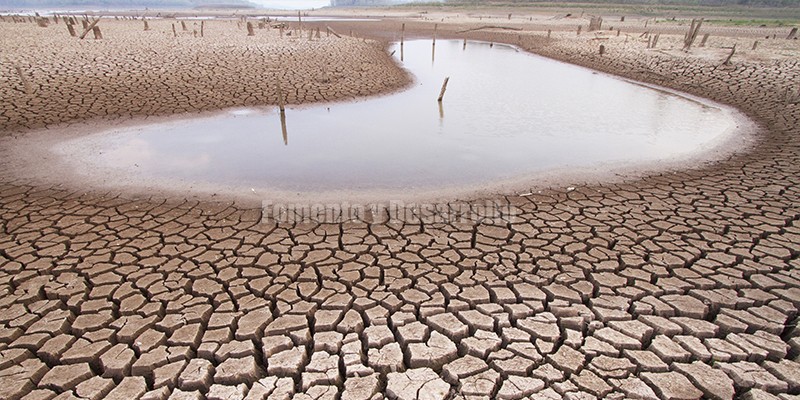 LUCHA CONTRA EL CAMBIO CLIMÁTICO